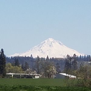 Meet your Posher, Peter